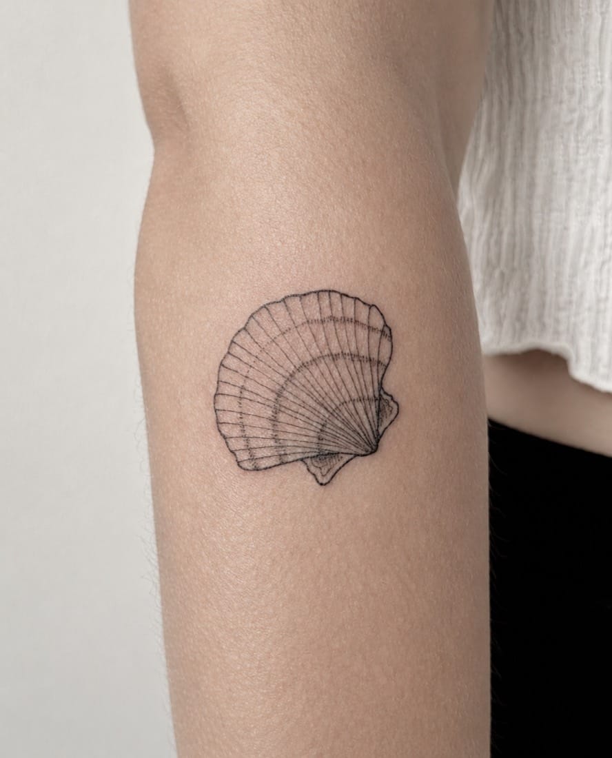 Fine line scallop seashell tattoo by a London Fine Line Tattoo Academy student